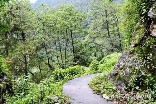我的英雄学院