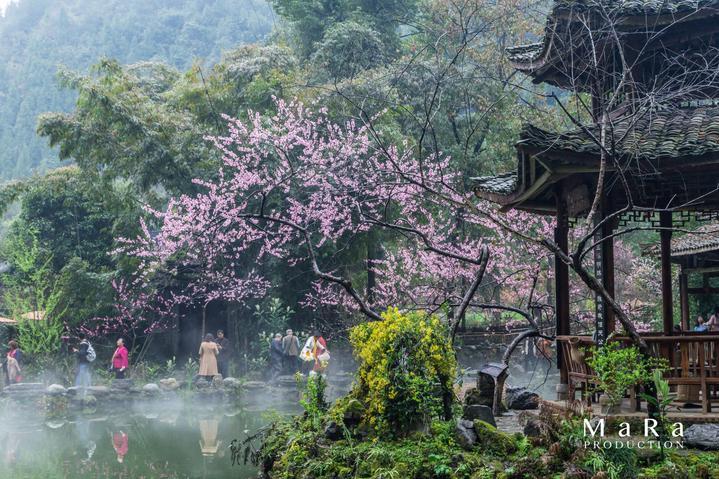 探索世界,趣味问答,尽在下面阴影部分的面积是15平方米平行四边形的面积是多少?蜗牛问答平台