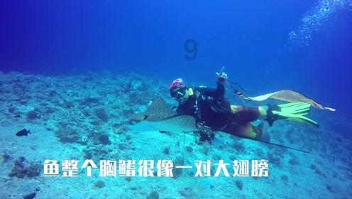 全长30公里！泉州“滨海生态浪漫线”迎新进展
