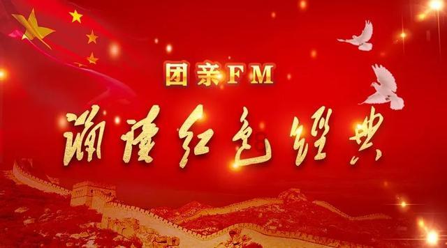 可怜猫的救援